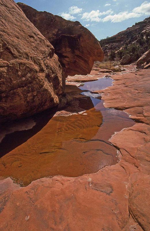 2001-04 Utah Trip 033 Canyon on Cedar Mesa.jpg